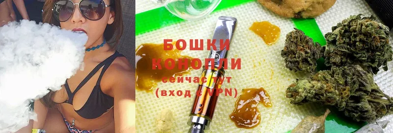 Где купить наркотики Вяземский Канабис  Cocaine  ГАШ  A-PVP  Мефедрон 